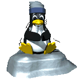pinguini 101