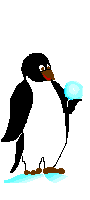 pinguini 104