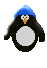 pinguini 110