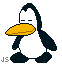 pinguini 111