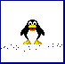 pinguini 115