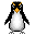 pinguini 12