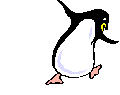 pinguini 121