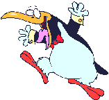 pinguini 122