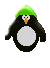 pinguini 123