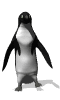 pinguini 138