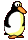pinguini 14