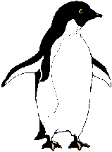 pinguini 145