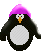 pinguini 146