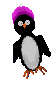 pinguini 148