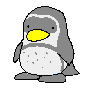 pinguini 156