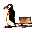 pinguini 166