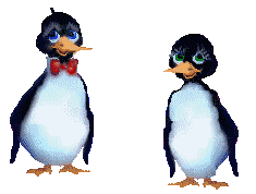 pinguini 176