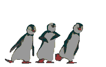 pinguini 182