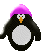 pinguini 196