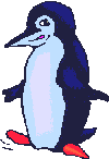 pinguini 203