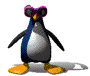 pinguini 41