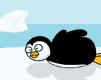 pinguini 50