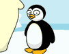 pinguini 51