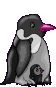 pinguini 57