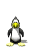 pinguini 63