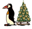 pinguini 67