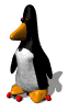 pinguini 71