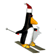 pinguini 76