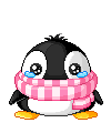 pinguini 81