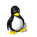 pinguini 82