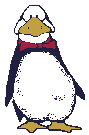 pinguini 91