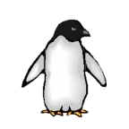 pinguini 96