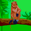 scimmie 192