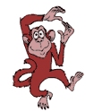 scimmie 38