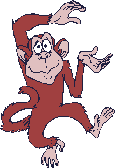 scimmie 86