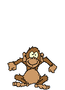 scimmie 93