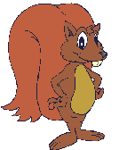 scoiattoli 28