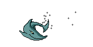 squali 36