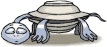 tartarughe 99