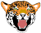 tigre leone 40