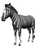 zebre 2