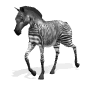 zebre 3