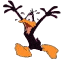 daffy duck 5