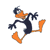 daffy duck 9