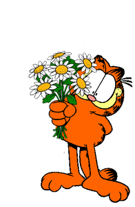 garfield 104