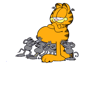 garfield 105