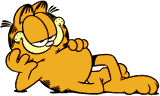 garfield 113