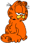 garfield 116