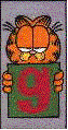 garfield 27