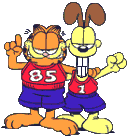 garfield 43